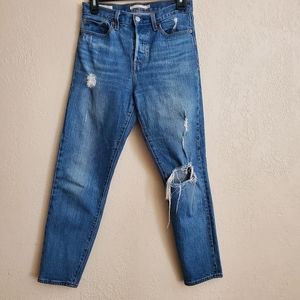 Levi's Premium Wedgie Skinny Jeans
